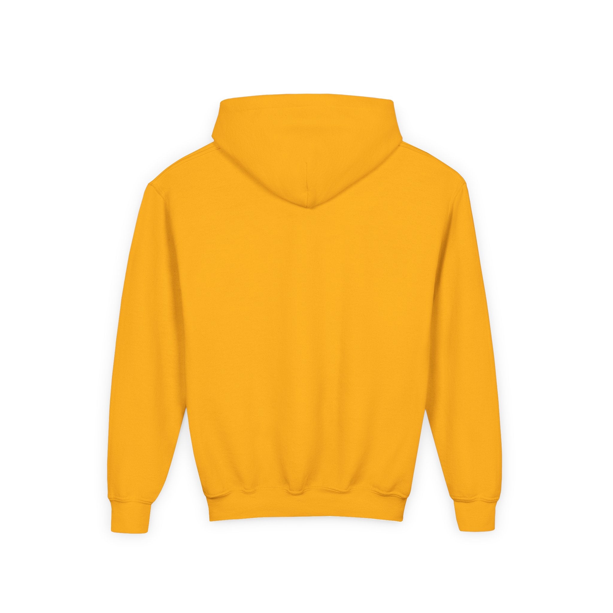 Western Suburbs Berner Club Logo - Youth Hoodie